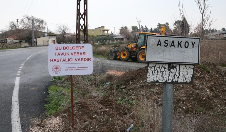 Kuş Gribi Paşaköy’de 338 Hayvanı Vurdu!