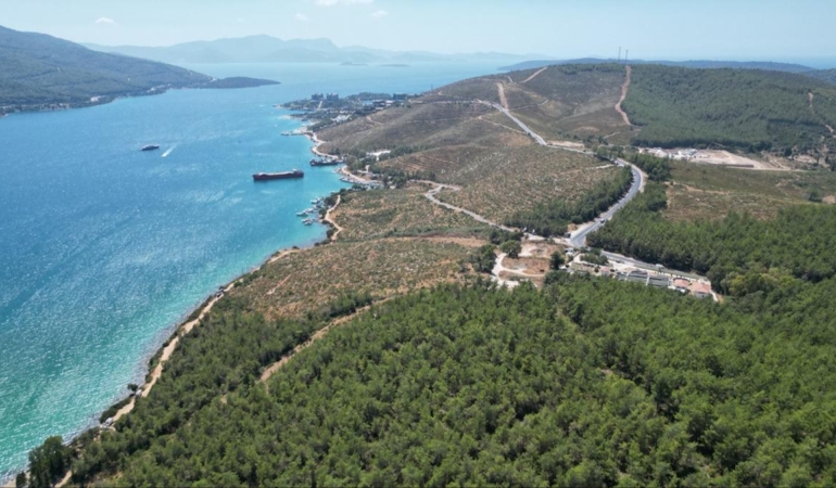Güvercinlik’te Yangın Sonrası Yeniden Yeşeriyor!