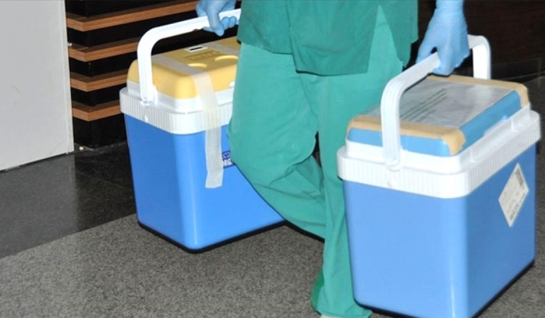 organ-nakli-2137106.jpg