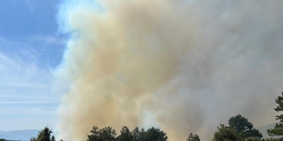 Bursa’da Orman Yangını: Ekipler Savaşıyor!