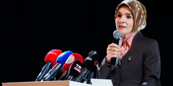 goktas-2411235.jpg