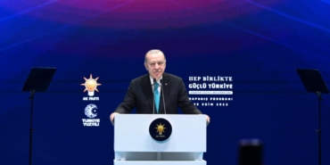 erdogan-2411232.jpg