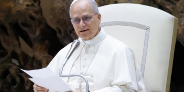 papa-14-leoaa-2411593.jpg