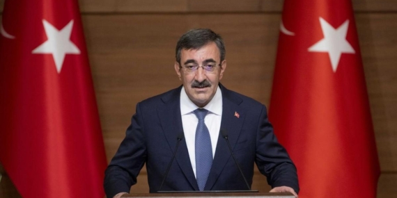 cumhurbaskani-yardimcisi-256_2-41.jpg