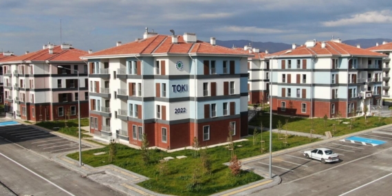 toki-2410471.jpg