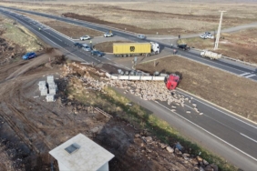 diyarbakir-sanliurfa-tir-204_2-41.jpg