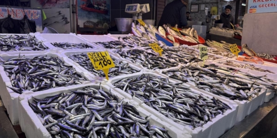 tezgahlar-doldu-balikcila-987_2-41.jpg