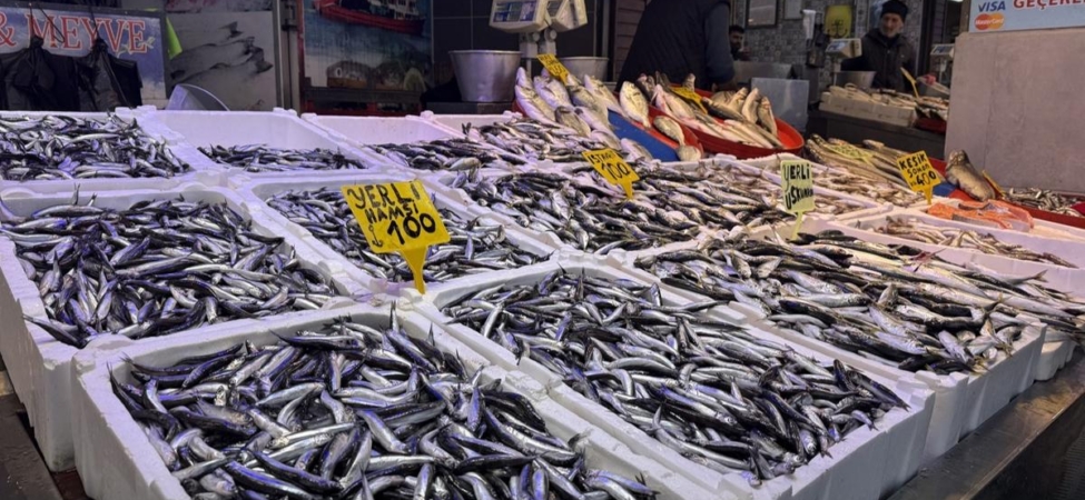tezgahlar-doldu-balikcila-987_2-41.jpg