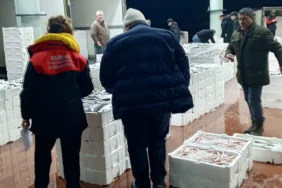bursada-150-kilogram-tekir-baligina-el-konuldu-Fb13VlLE.webp