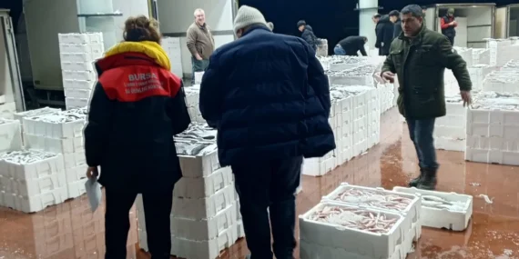 bursada-150-kilogram-tekir-baligina-el-konuldu-Fb13VlLE.webp