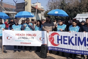 hekim-birligi-sendikasi-diyarbakirdaki-usulsuz-gorevlendirmelere-tepki-gosterdi-gqbcPVb8.jpeg