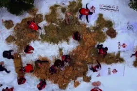 ilgaz-dagina-yuzlerce-kilo-yem-birakildi-Xl5iVnwy.webp