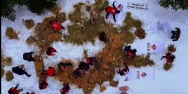 ilgaz-dagina-yuzlerce-kilo-yem-birakildi-Xl5iVnwy.webp