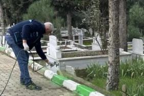 kocaeli-cayirovada-mezarliklarda-calismalar-suruyor-PP8QzC7E.webp