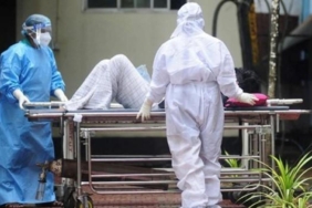 virus-hindistandan-yayiliyor-turkiyede-tehlike-var-mi-uzmani-acikladi-aIcvwah4.jpg