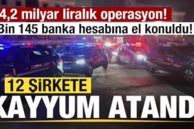 42-milyar-liralik-operasyon-bin-145-banka-hesabina-el-konuldu-12-sirkete-kayyuma-atandi-9YlzKuk2.jpg