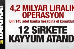 42-milyar-liralik-operasyon-bin-145-banka-hesabina-el-konuldu-12-sirkete-kayyuma-atandi-sv71v7vH.jpg