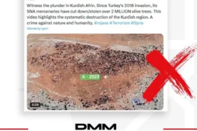 afrinde-2-milyon-zeytin-agaci-kesildi-iddiasina-iletisimden-yanit-OFFmZ31T.webp