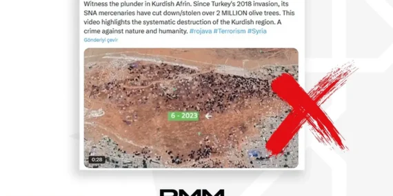 afrinde-2-milyon-zeytin-agaci-kesildi-iddiasina-iletisimden-yanit-OFFmZ31T.webp