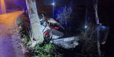 altinozunde-agaca-carpan-aracta-surucu-yaralandi-1385zdKu.jpg