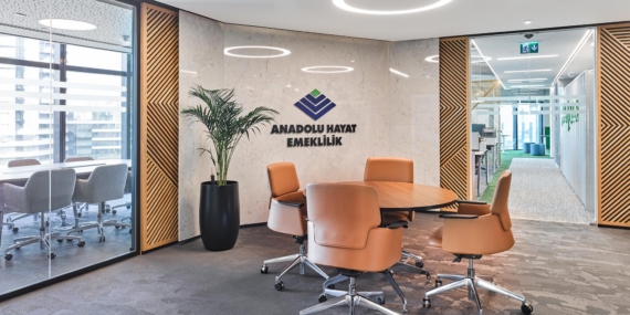 anadolu-hayat-emeklilik-2025te-net-k-rini-bir-onceki-seneye-gore-yuzde-38-artirdi-UmghLwiH.jpg