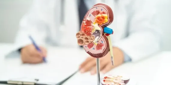 bobrek-hastalarinda-kisiye-ozel-plan-hayati-onem-tasiyor-6xs94q7F.webp