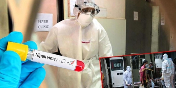 covidden-5-kat-daha-guclu-nipah-virusu-nereden-cikti-pandemiye-donusur-mu-zQb6G8qs.jpg