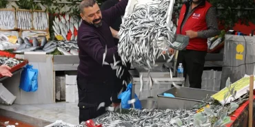 edirnede-hamsi-fiyatlari-dustu-RPfus5Zd.jpg
