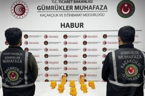 haburda-ayakkabi-icerisinde-41-kilo-altin-ele-gecirildi-CnO93lN2.jpg