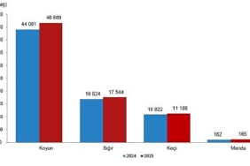hayvansal-uretim-istatistikleri-2025-vTr5v5n3.jpg