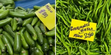 seralari-su-basinca-sivri-biber-ve-salataligin-fiyati-250-liraya-cikti-VXjQOSib.webp