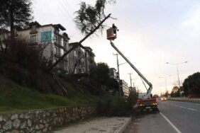 siddetli-ruzgar-agac-devrtti-elektrik-kesildi-jiRuValU.jpg