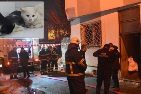 sivasta-kedilerin-beslendigi-evde-yangin-cikti-26-kedi-oldu-YWD9AX8j.jpg