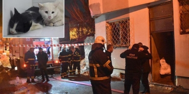 sivasta-kedilerin-beslendigi-evde-yangin-cikti-26-kedi-oldu-YWD9AX8j.jpg