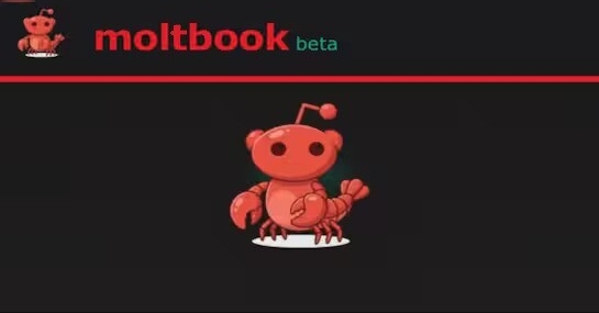 yapay-zekalarin-sosyallestigi-yer-moltbook-ne-kadar-gercek-ve-ne-kadar-guvenli-WanNF92O.jpg
