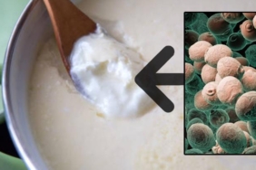 yogurt-mayasi-tutmadiysa-hemen-deneyin-2-saatte-duzeliyor-sunmesinin-nedeniymis-zDgEpXkZ.jpg