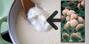 yogurt-mayasi-tutmadiysa-hemen-deneyin-2-saatte-duzeliyor-sunmesinin-nedeniymis-zDgEpXkZ.jpg