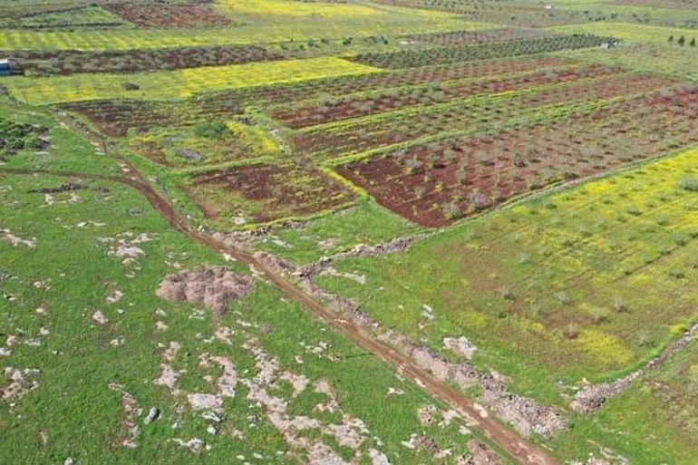 Japonların gözü bu ilçede Yıllarca devam edecek kazı başlıyor: Ne kadar sürerse sürsün