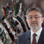 tarlada-zirai-don-riski-var-mi-bakan-yumaklidan-market-raflarini-ilgilendiren-aciklama-1776246454984.webp