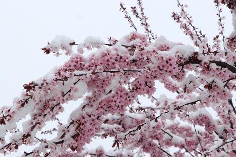 Fotoğraflar bugün çekildi Mayıs ayında kar sürprizi... Kent merkezi bembeyaz