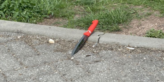 1778447420_960x540.jpeg