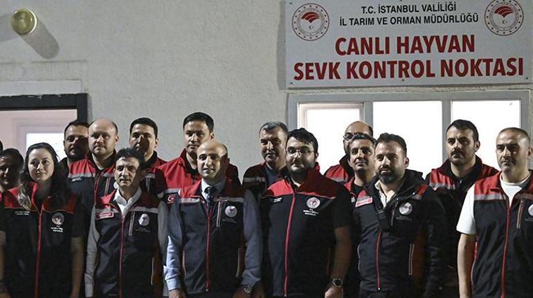 İstanbula kurban sevkiyatı başladı İşte kurbanlık seçerken dikkat etmeniz gerekenler