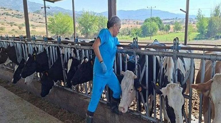 Aydın’da 17 mahallede karantina tedbirleri alındı Hayvan giriş çıkışı yasak