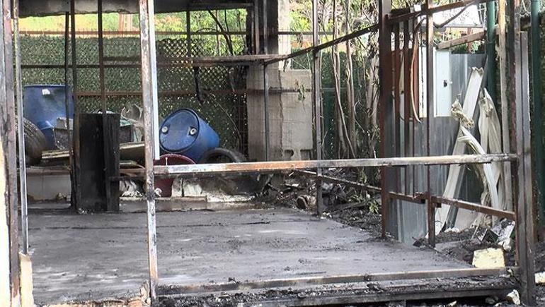 Eyüpsultanda kurban satış merkezi alevlere teslim oldu 1 ölü, bekçi gözaltında