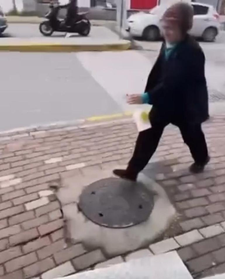 Sokak kedisine işkence Gel annem gel diyerek çağırdıktan sonra yaptığı kan dondurdu