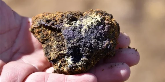 oecdden-turkiyeye-kritik-mineral-vurgusu-1778055335324.jpg