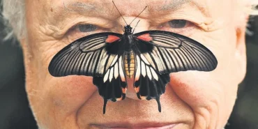 unlu-doga-belgeselcisi-attenborough-100-yasinda-1778274483242.jpeg