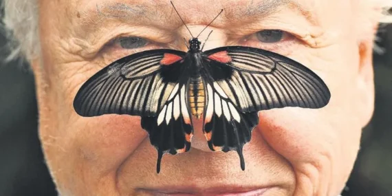 unlu-doga-belgeselcisi-attenborough-100-yasinda-1778274483242.jpeg